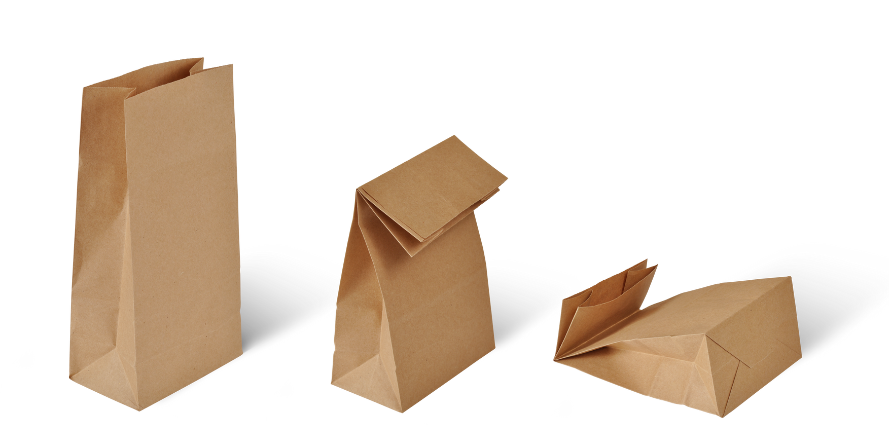 Paper Bags